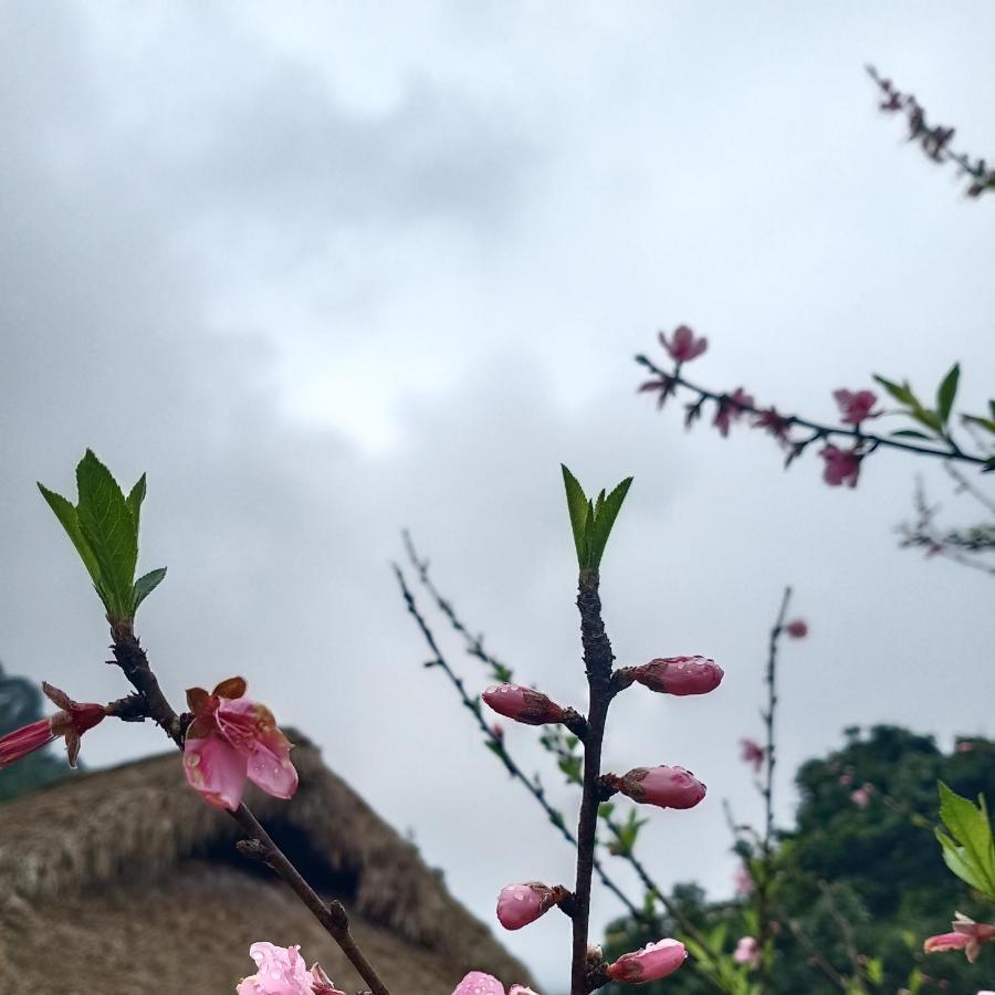 Hoang Su Phi Dao Homestay מראה חיצוני תמונה