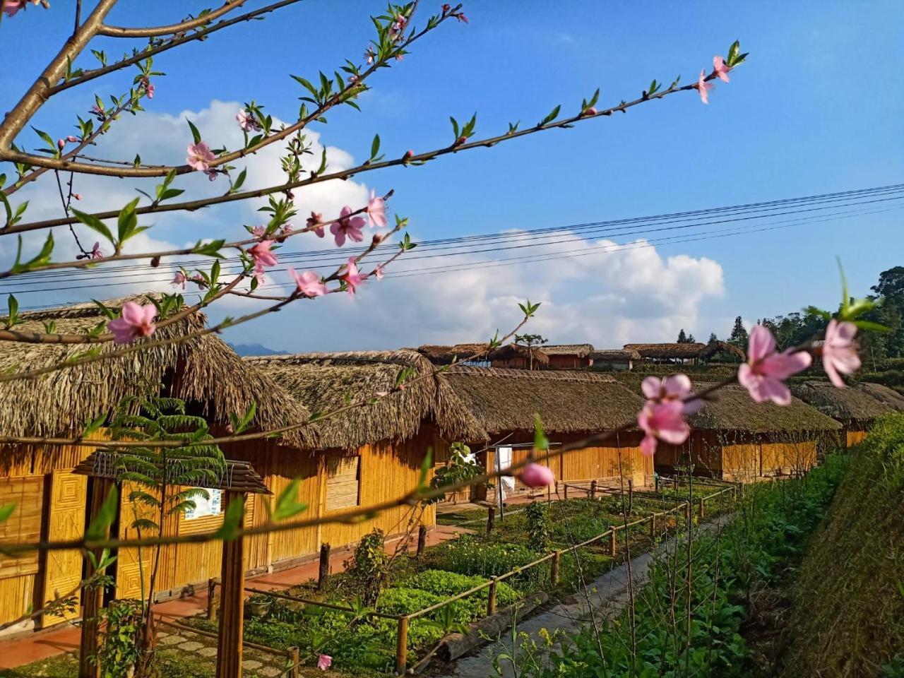 Hoang Su Phi Dao Homestay מראה חיצוני תמונה