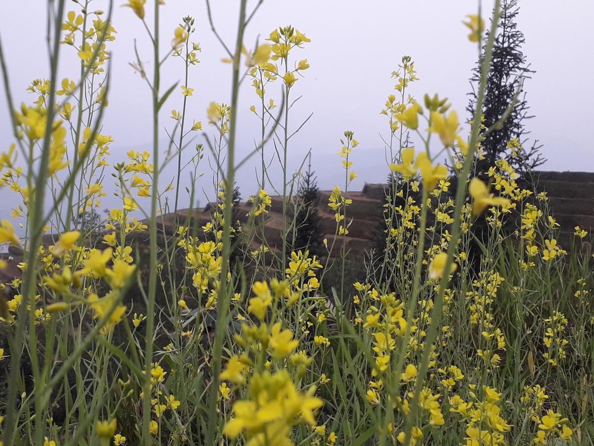 Hoang Su Phi Dao Homestay מראה חיצוני תמונה