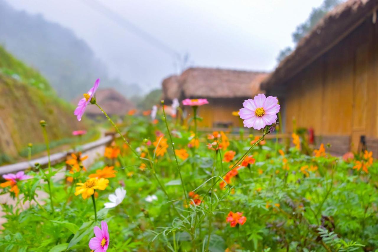 Hoang Su Phi Dao Homestay מראה חיצוני תמונה